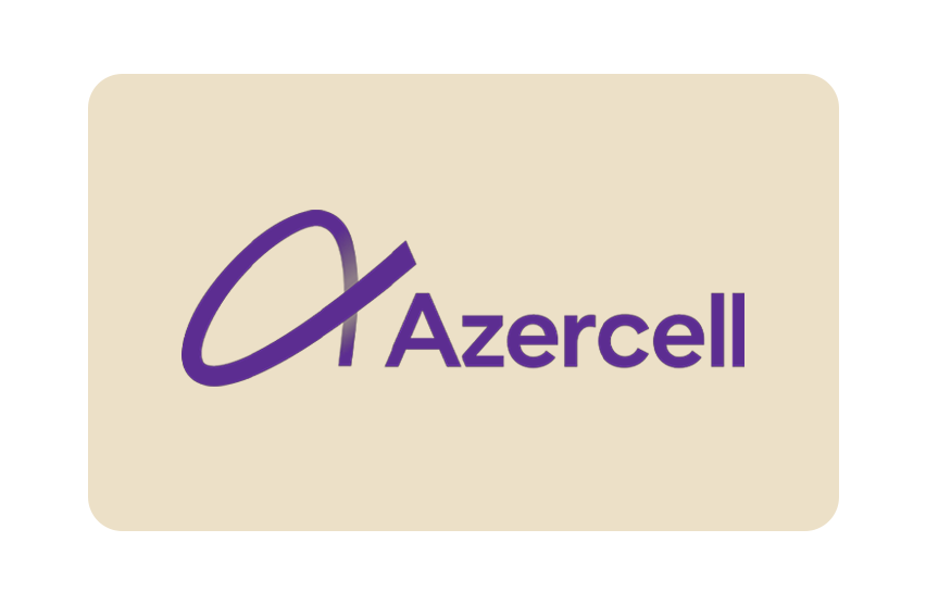 Partner Image Baku Flames